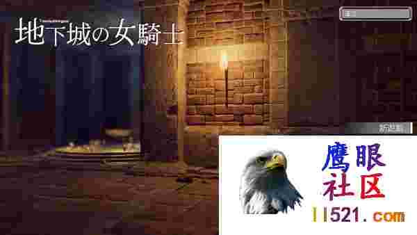 [ACT/中文/动态]地下城的女骑士官方中文步兵版+存档[夸克/3.3G/UC]