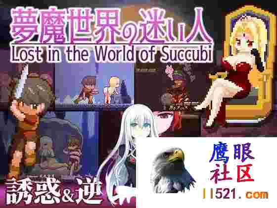 迷失在梦境中#夢魔世界の迷い人v1.03官方中文版[2G/UC/夸克]