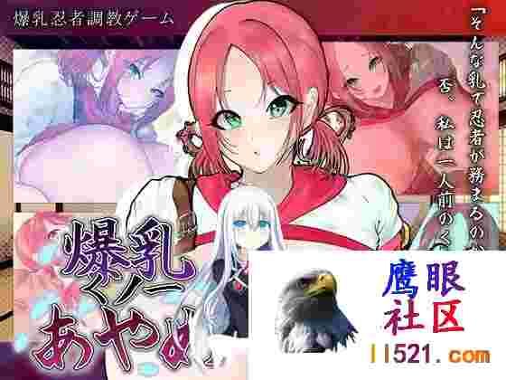 [RPG/汉化]巨乳女忍者菖蒲挂载AI汉化版+存档[夸克/1.2G/UC]