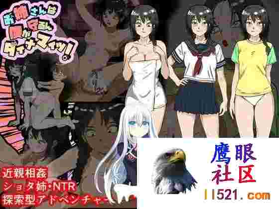 [RPG/汉化]姐姐由我来保护挂载AI汉化版+存档[夸克/1.1G/UC]